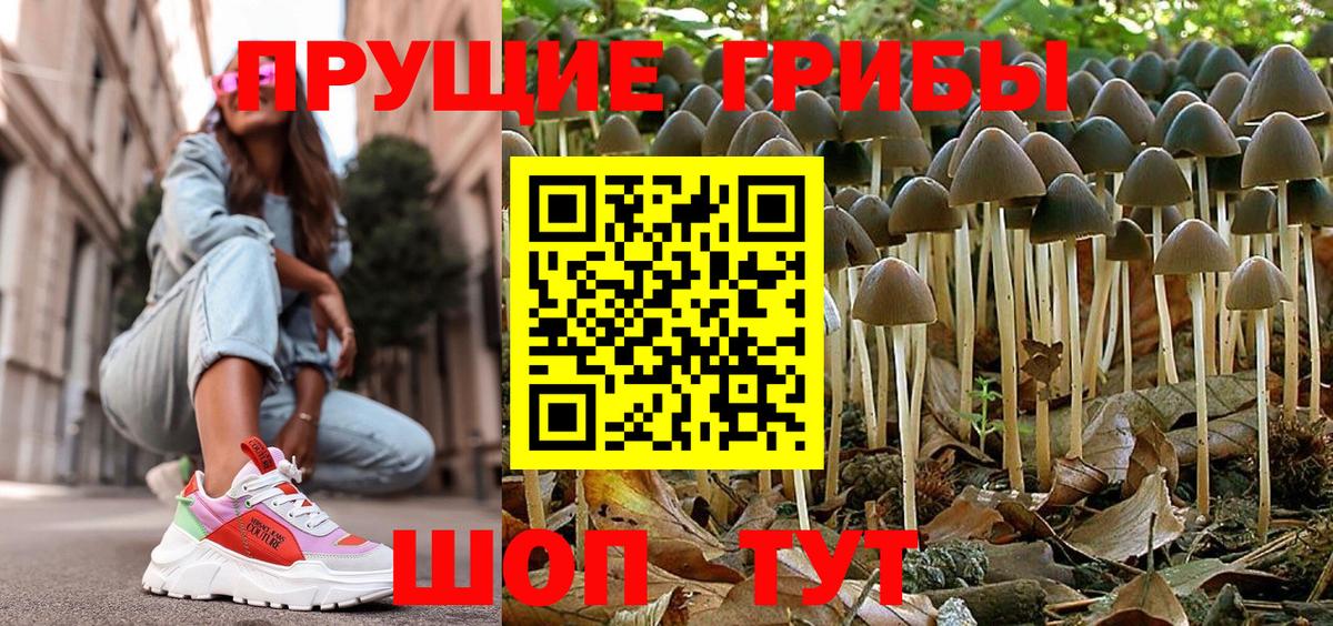 закладки  Галлюциногенные грибы Psilocybine cubensis  Карпинск  Вход с VPN  Псилоцибиновые грибы Magic Shrooms 